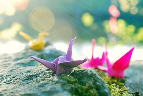 告别2014，迎接2015