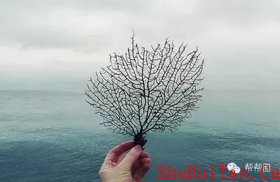 人如落叶，一生一落，一落一生