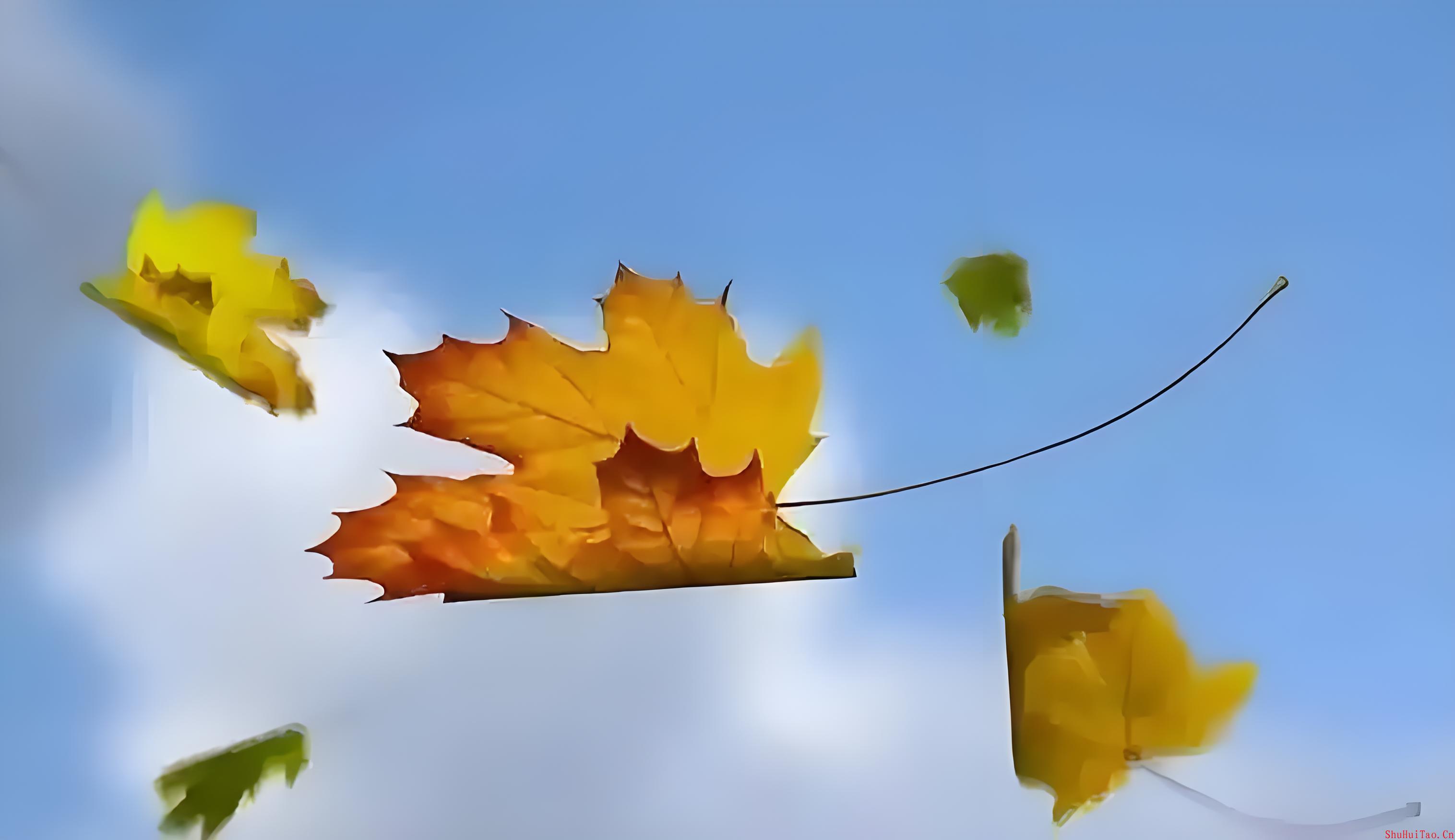 点击查看原图 点击查看原图