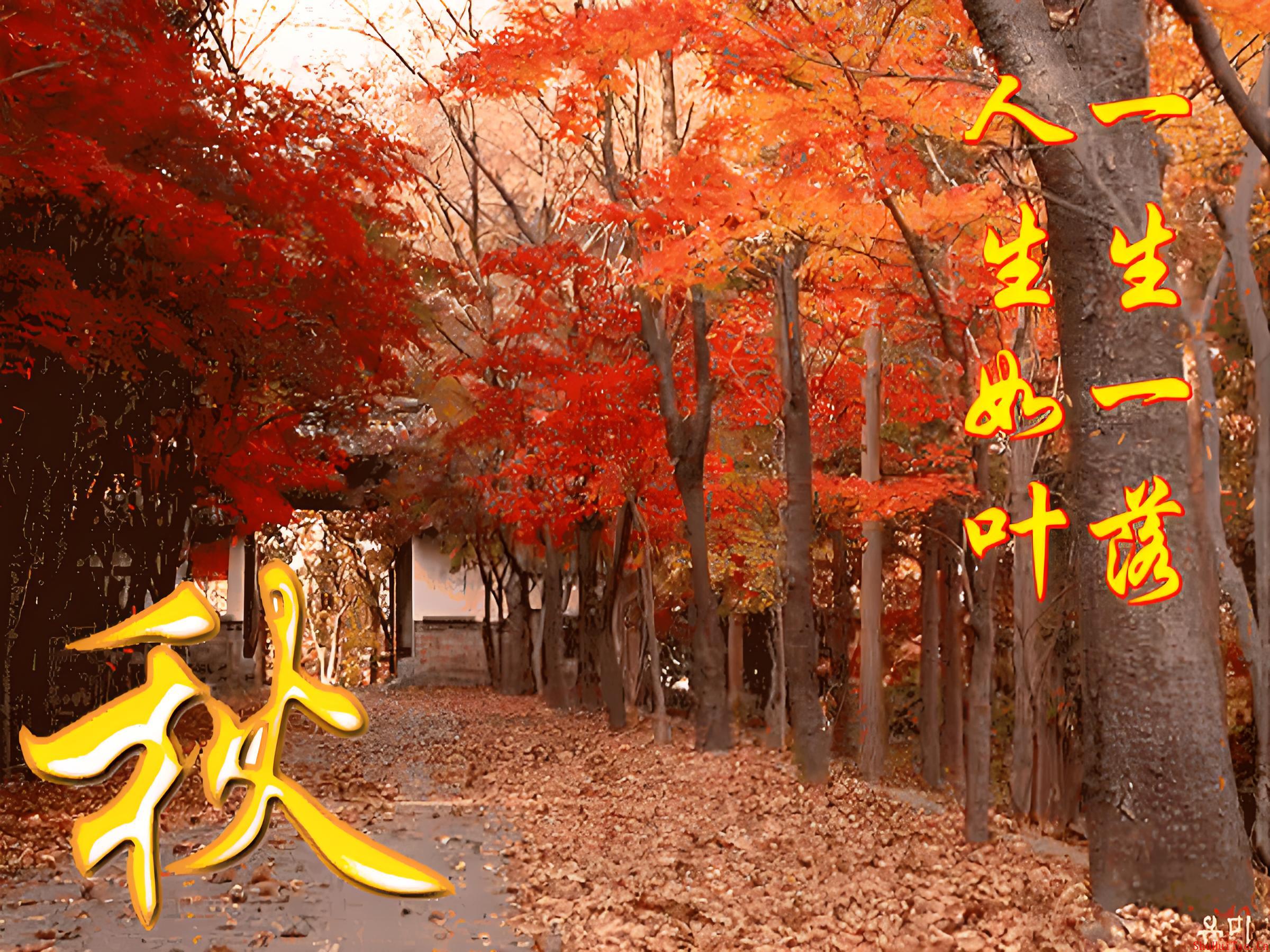 点击查看原图 点击查看原图